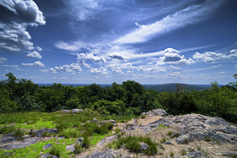 New Jersey Natural Reserve